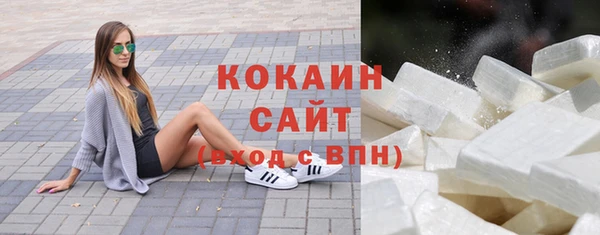 индика Баксан