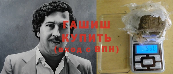 индика Приозерск