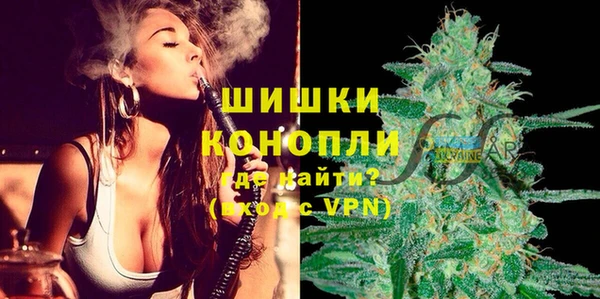 индика Баксан