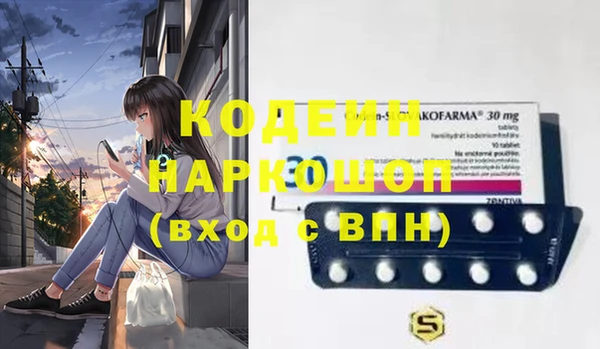 индика Баксан