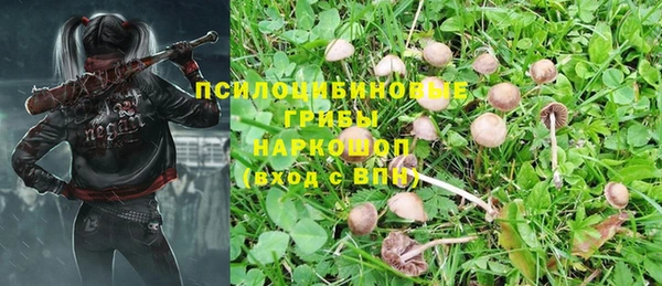 индика Баксан