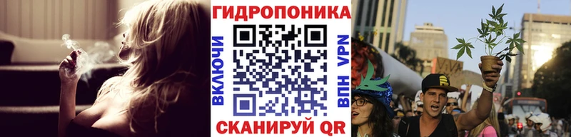 Бошки марихуана VHQ купить сайты Бодайбо